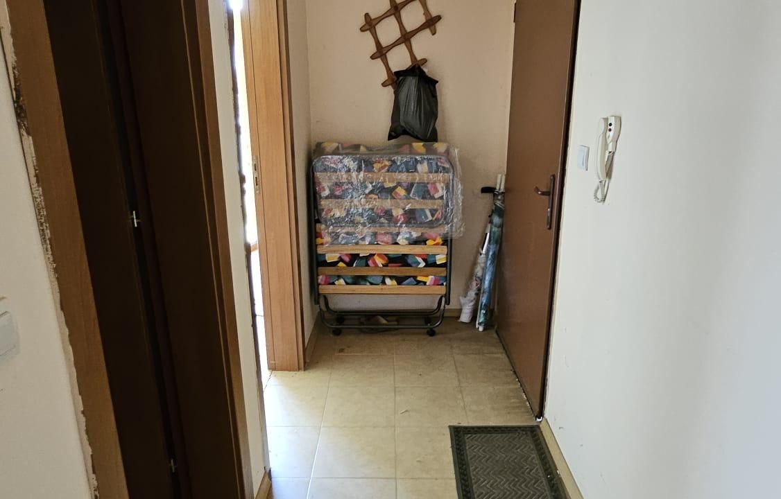 гардения приморско3